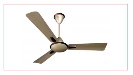 একটানা কতক্ষণ চলার পর বিশ্রাম প্রয়োজন ফ্যানের?