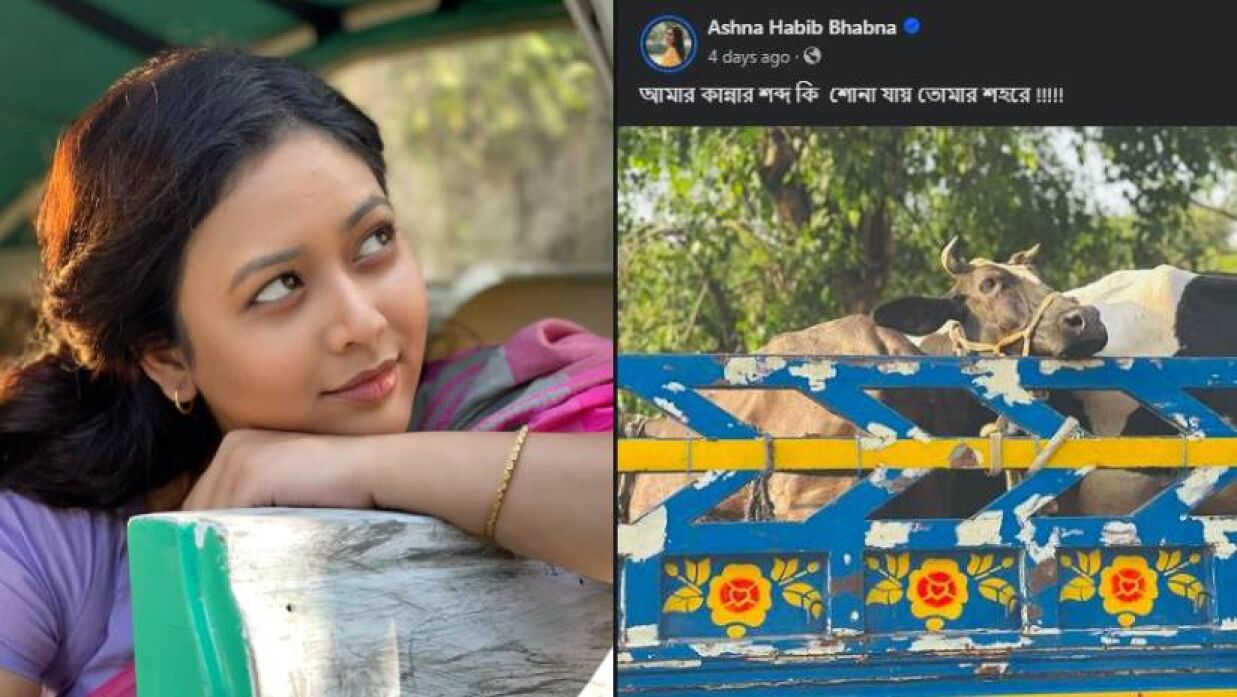 আশনা হাবিব ভাবনা