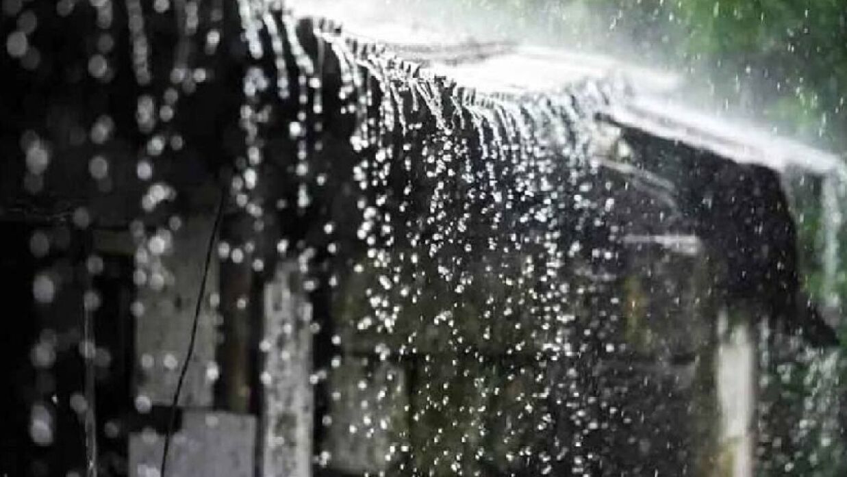 প্রতীকী ছবি