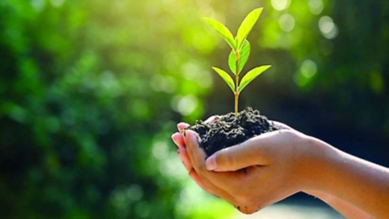 ‘বর্ষা এসেছে, সবার প্রতি অনুরোধ একটি গাছ লাগাবেন’