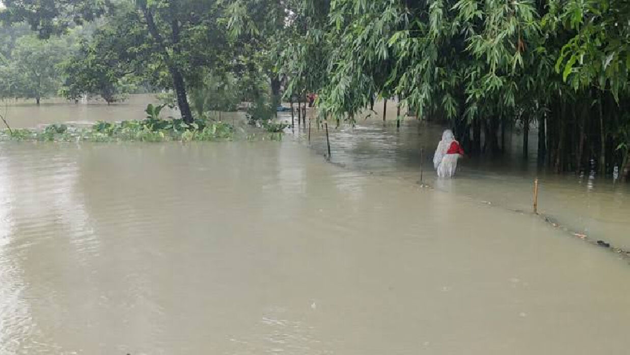 বন্যার পানি