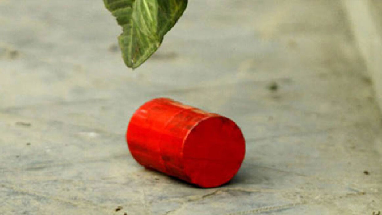 বল ভেবে পরিত্যক্ত ককটেলে আঘাত করে ২ শিশু আহত