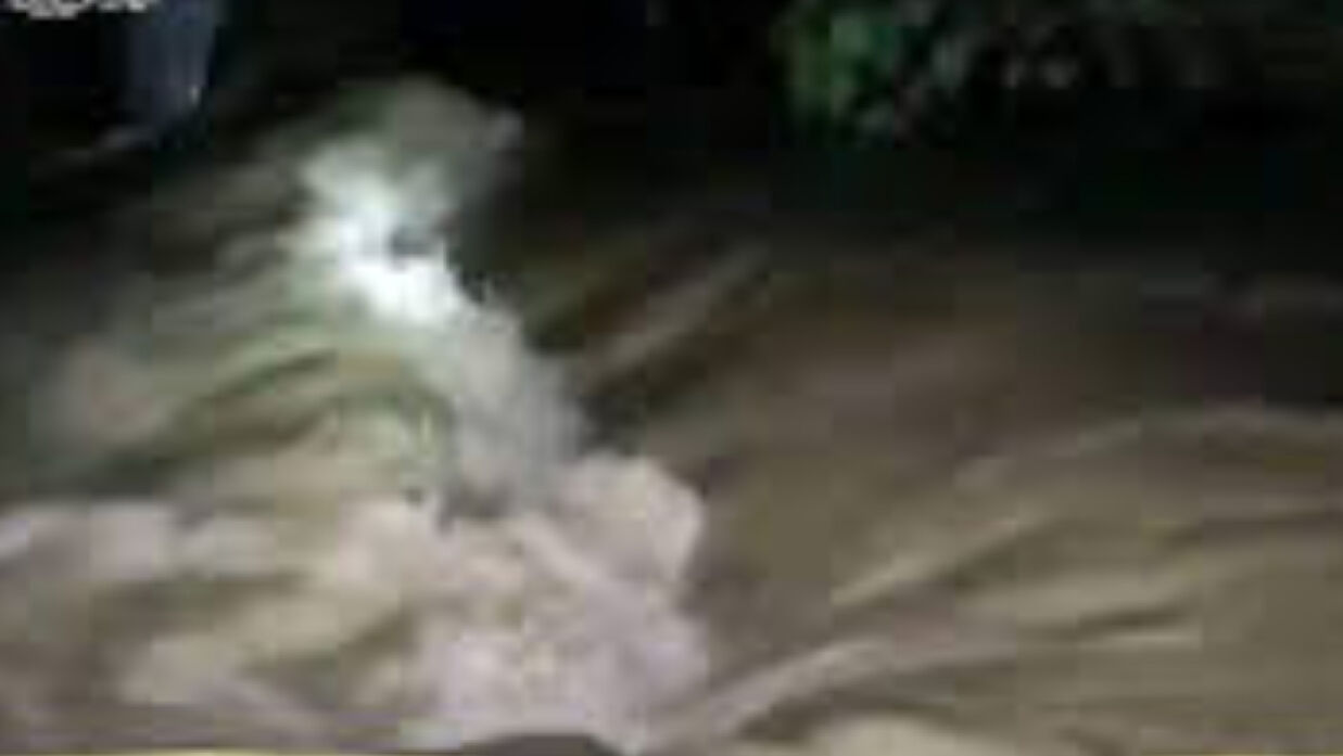 ছড়িয়ে পড়া ভিডিও