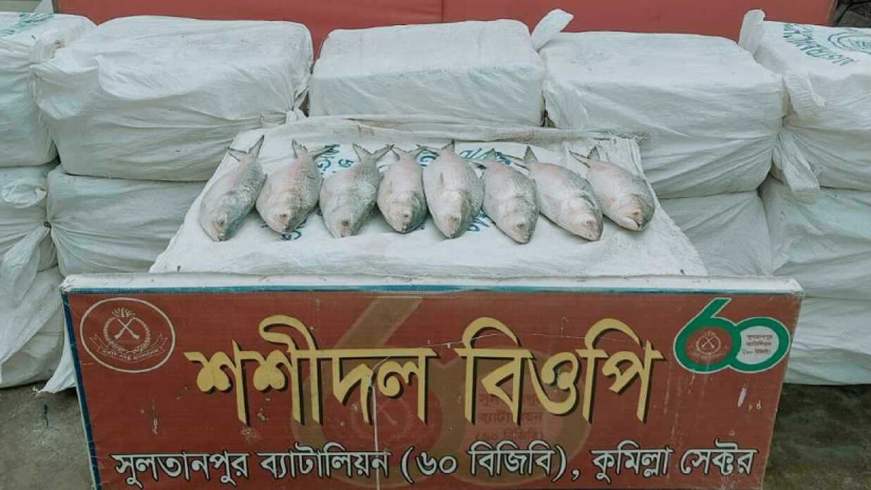 সীমান্তে পাচারের সময় ৪৪০ কেজি ইলিশ জব্দ