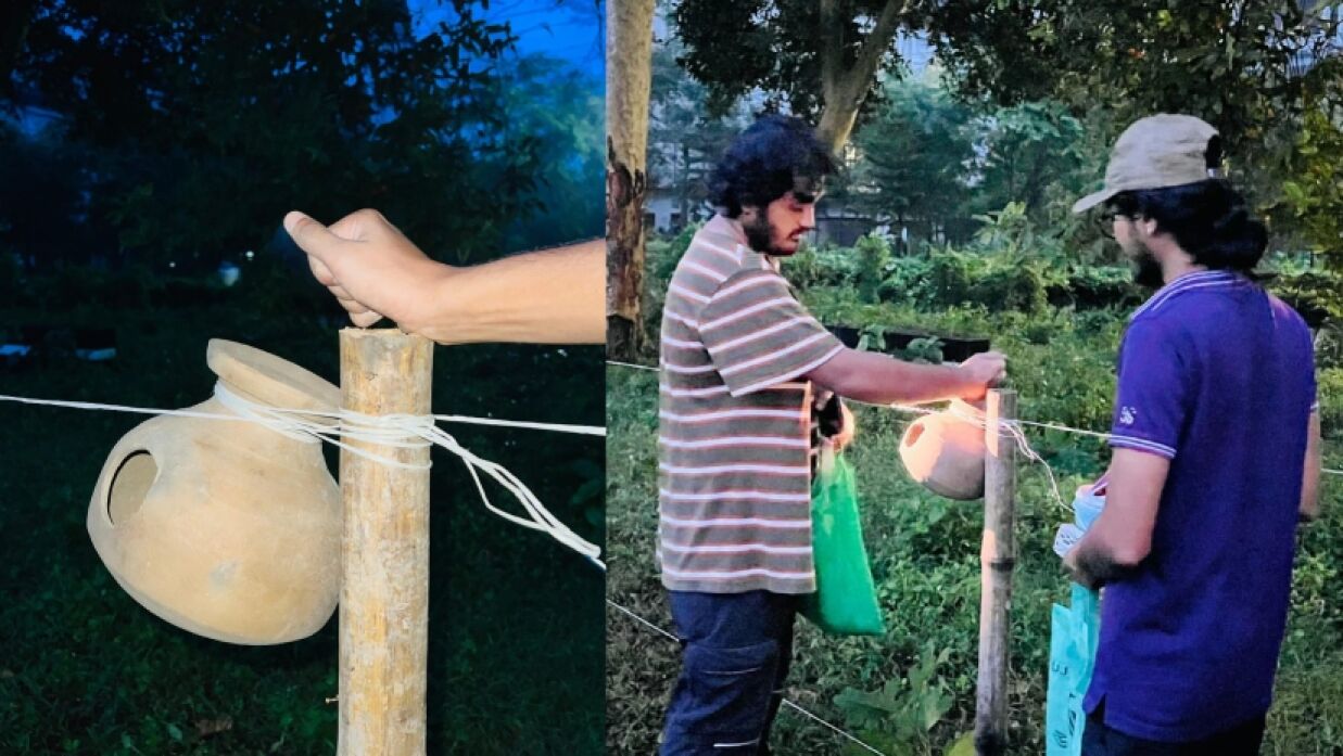 ইবির পাখি চত্বরের বৈচিত্র্য ফেরাতে অভয়ারণ্যের উদ্যোগ