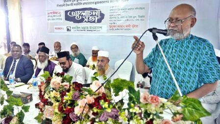 দেশের শিক্ষা ব্যবস্থাকে ধ্বংস করে দিয়েছে দীপু মনি-নওফেল: অধ্যাপক কলিমুল্লাহ