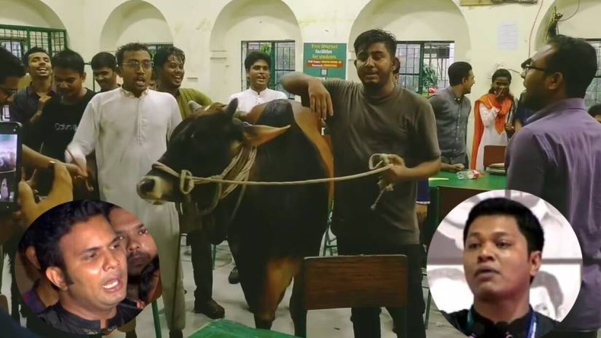 মধুর ক্যান্টিনে গরু নিয়ে উল্লাস করছেন শিক্ষার্থীরা