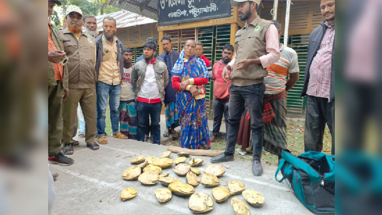 ২৬টি কচ্ছপসহ আটক
আটক নারী