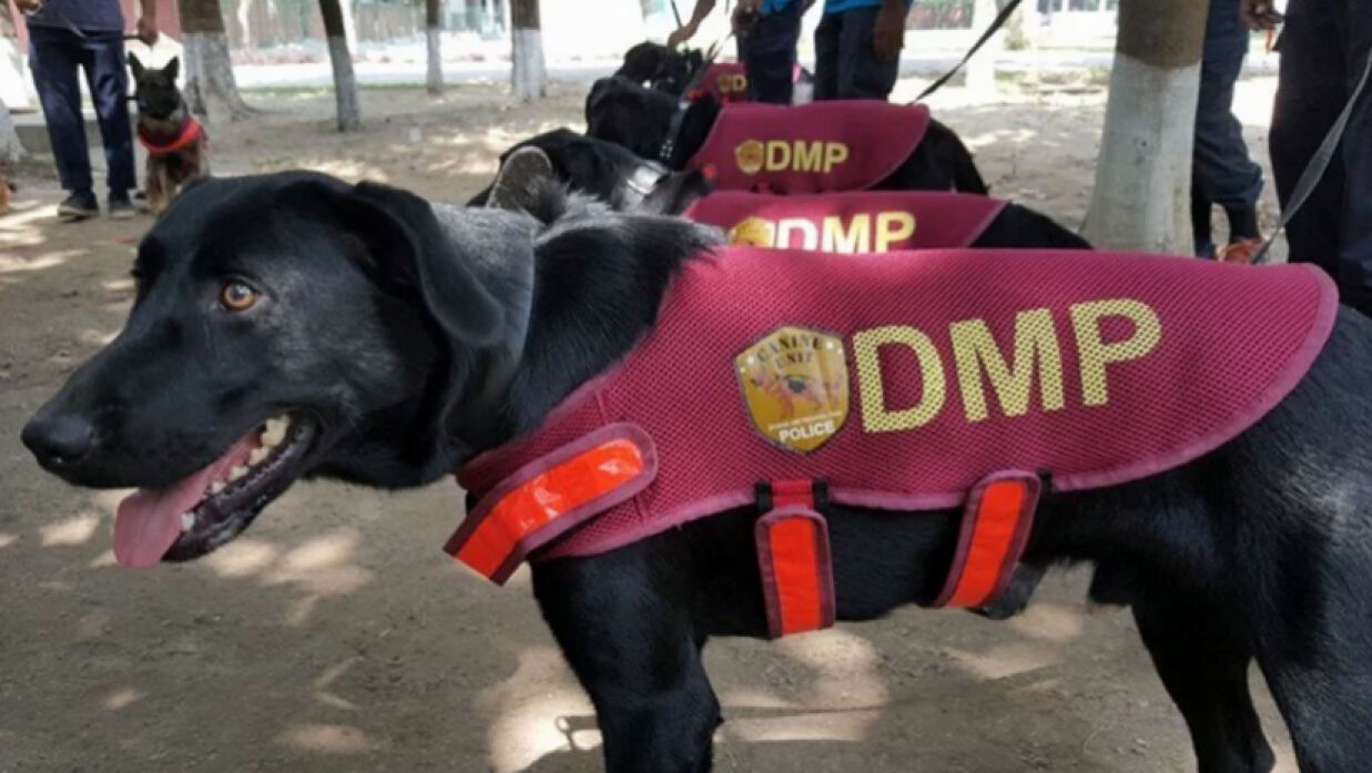 কুকুর পরিচালনা শিখতে বিদেশ যাচ্ছেন পুলিশের সাতজন