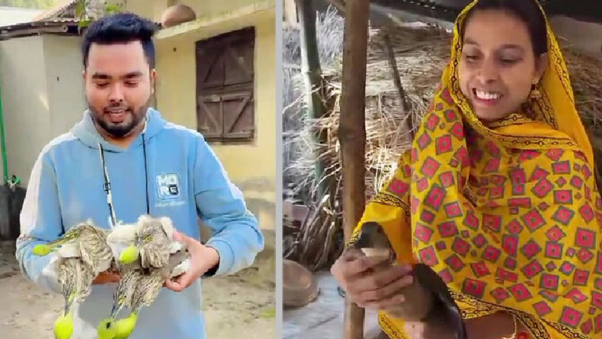আল-আমিন ও তুলি 