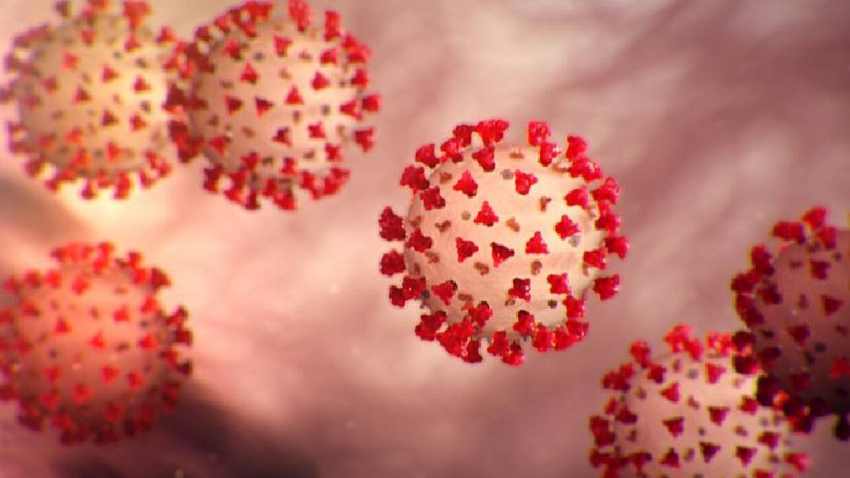 প্রতীকী ছবি