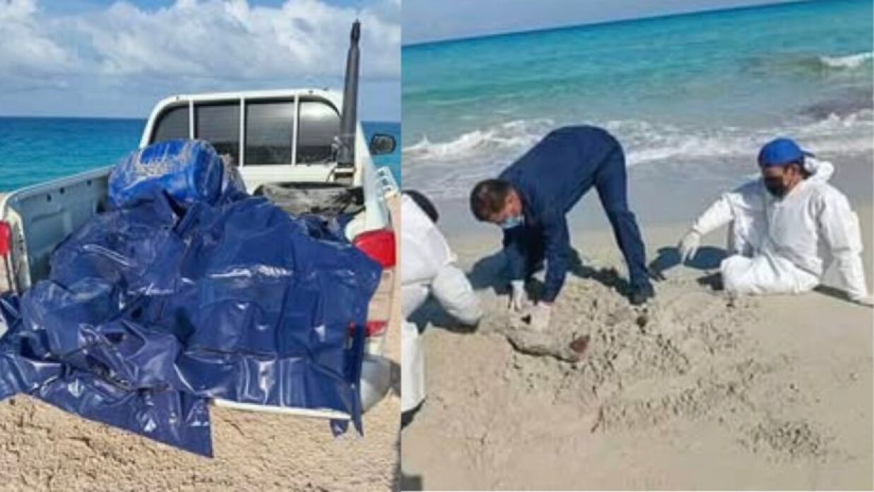 বাংলাদেশের লিবিয়া দূতাবাসের ফেসবুক পেজ থেকে নেওয়া।