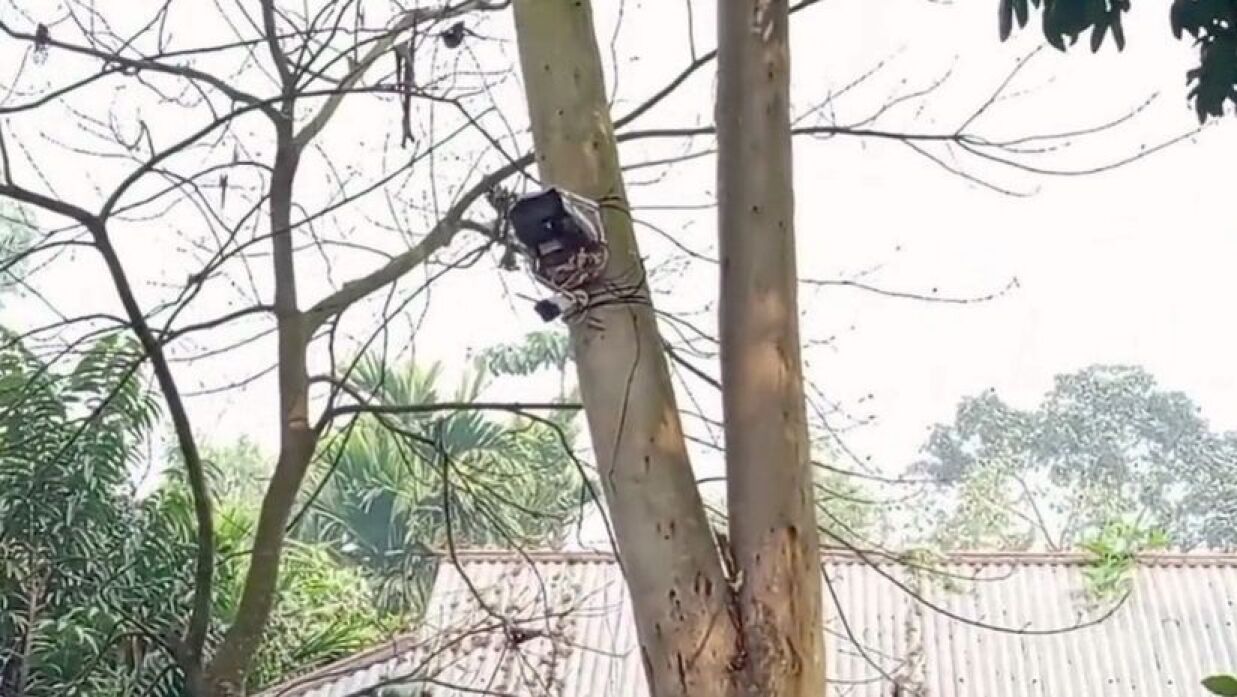 সীমান্তের শূন্যরেখায় সিসি ক্যামেরা স্থাপন