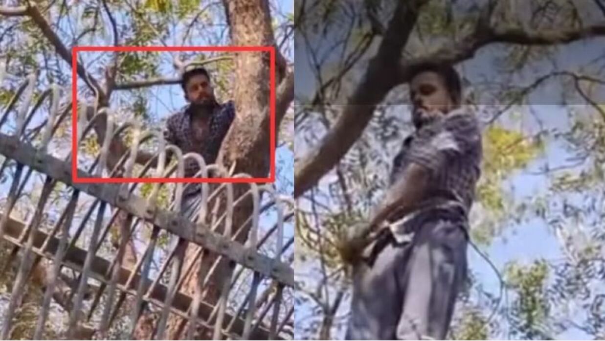 প্রেমিকার শর্তপূরণে বাঘের খাঁচায় যুবক