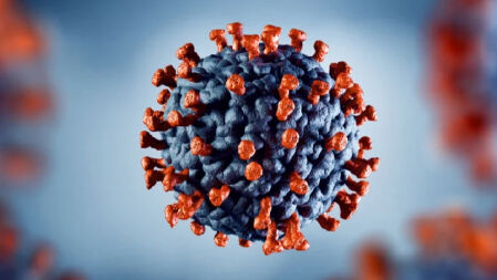 দেশে ২৪ ঘণ্টায় করোনায় আক্রান্ত ১