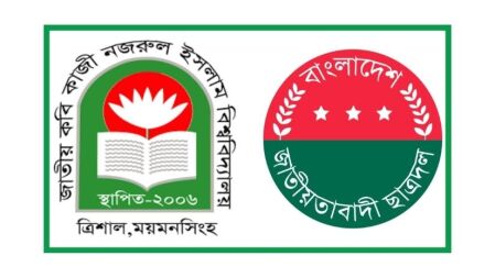 ৪ বছরেও পূর্ণাঙ্গ হয়নি ছাত্রদলের কমিটি, নেপথ্যে প্রভাব বিস্তার-চাঁদাবাজি?