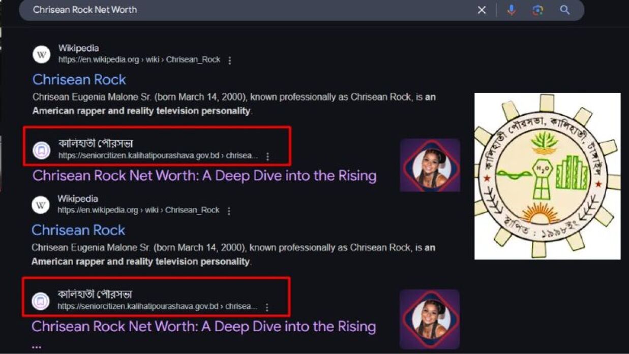 সরকারি ওয়েবসাইটের সাবডোমেইন ব্যবহার