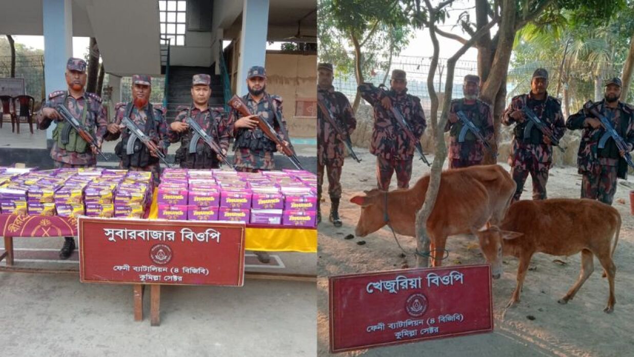 জব্দ করা চোরাই পণ্য ও গরু