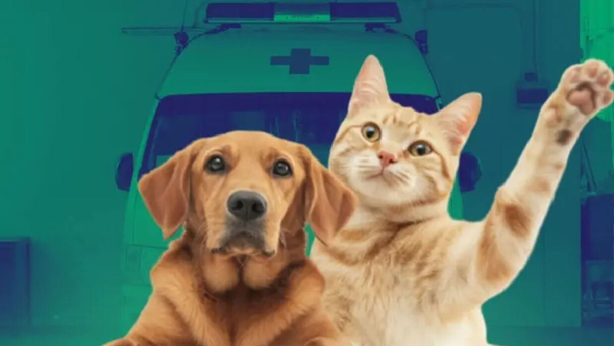 প্রতীকী ছবি