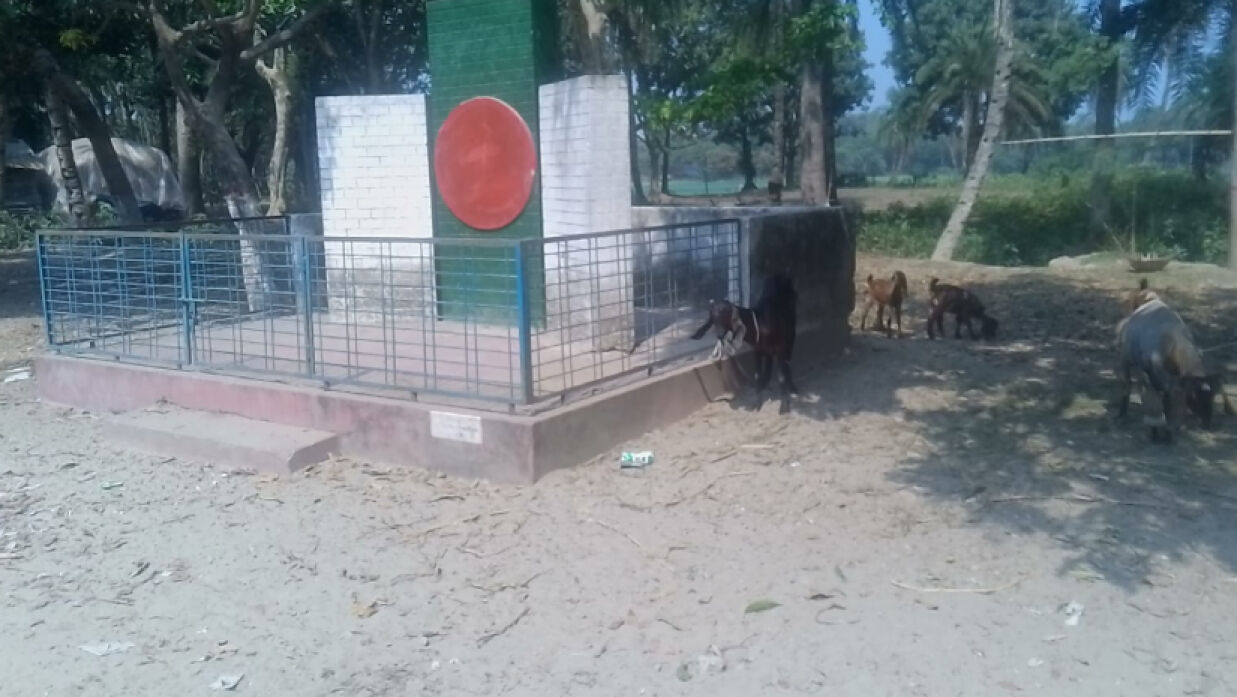 শহীদ মিনারে বেঁধে রাখা ছাগল