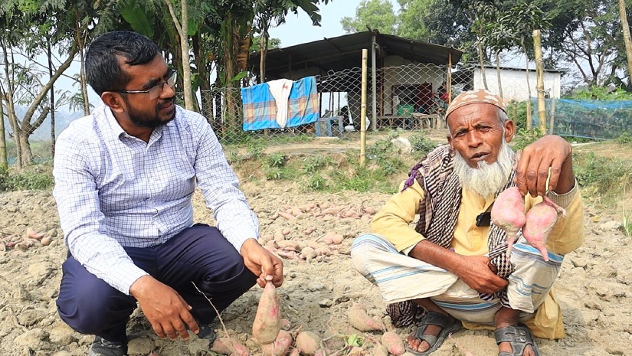 মিষ্টি আলুর ক্ষেতে গবেষকের সঙ্গে কৃষক