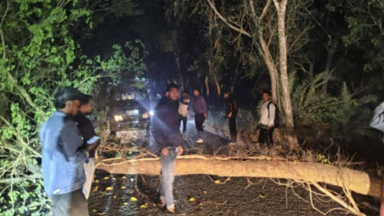 ডাকাতির খবর পেয়ে পুলিশ ঘটনাস্থলে গিয়ে রাস্তায় পড়ে থাকা গাছ দেখতে পায়