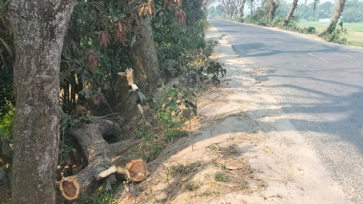 পাবনার সাঁথিয়ায় সড়কে গাছের গুড়ি ফেলে অন্তত ৩০টি গাড়িতে ডাকাতির ঘটনা ঘটে