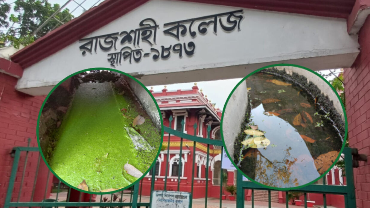 রাজশাহী কলেজ