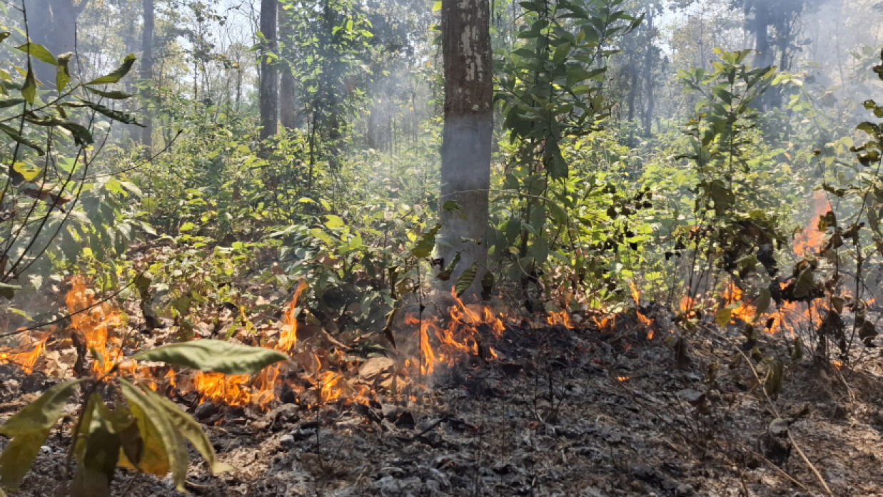আগুনে জ্বলছে গারো পাহাড়