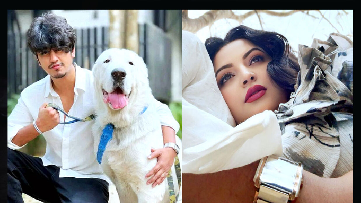 পরীমনি ও শেখ সাদী