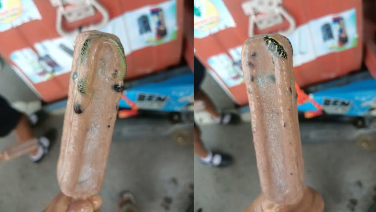 ভ্রাম্যমাণ কার্ট থেকে আইসক্রিমটি কিনেছিলেন ভুক্তভোগী