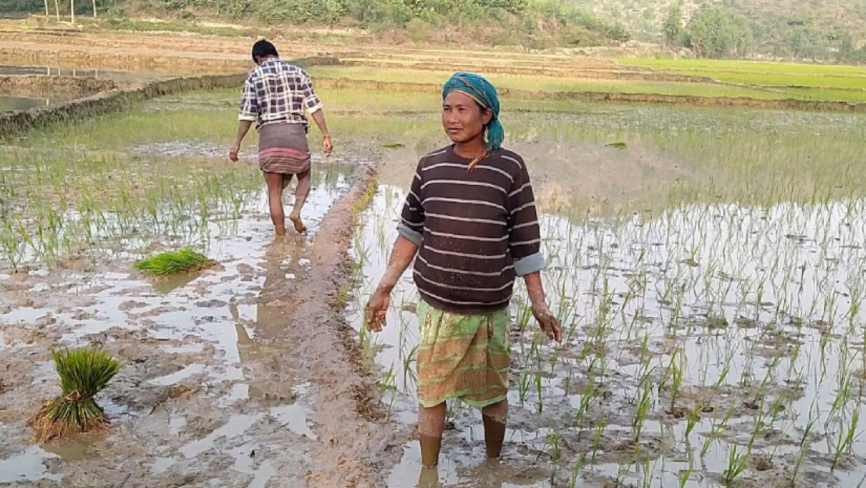 শেরপুরে কাজ করছেন নারী শ্রমিক