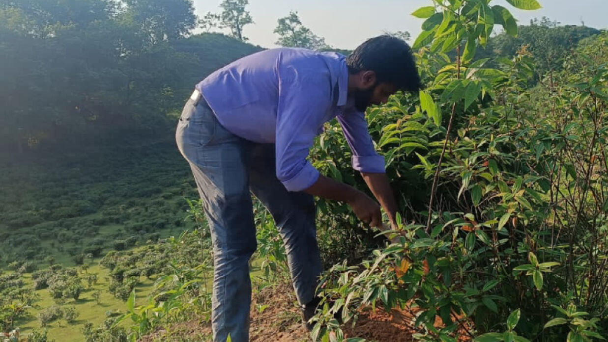 পরিবেশ রক্ষায় গাছ লাগিয়ে যাচ্ছেন শাকির