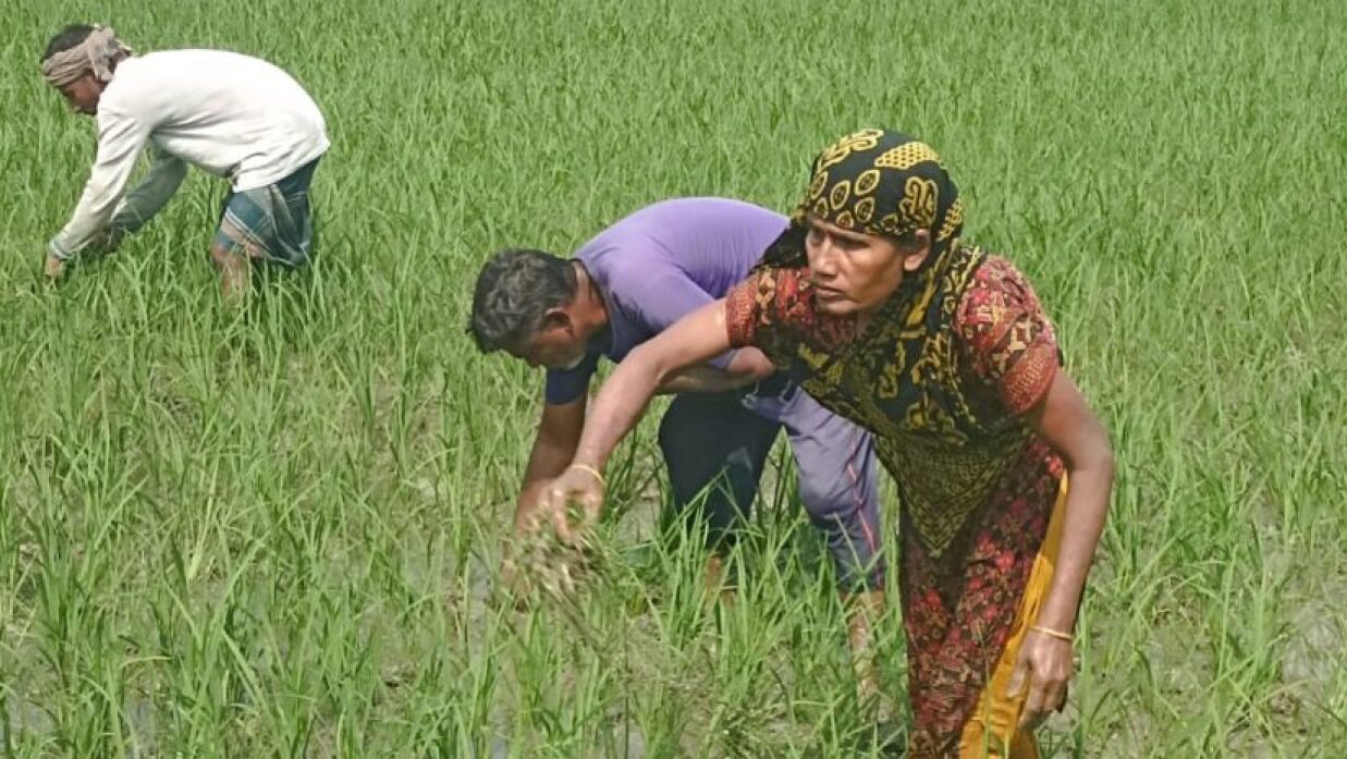 জরিনা বেগম