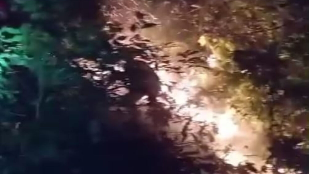 চট্টগ্রাম বিশ্ববিদ্যালয়ে পাহাড়ে আগুন