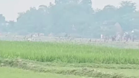 হবিগঞ্জে জমির ঘাস কাটা নিয়ে দুই পক্ষের সংঘর্ষ, আহত ৩