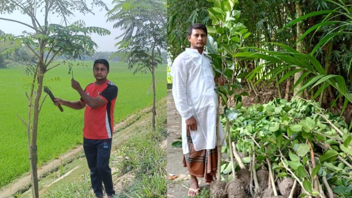 গাছের পরিচর্যা করছেন আনোয়ার হোসেন