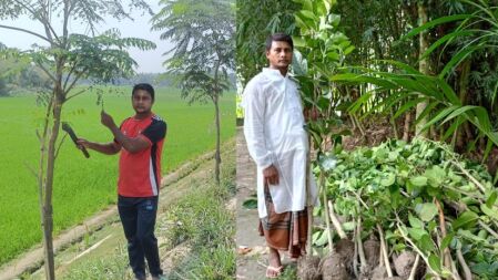 দপ্তরির চাকরি করেও নিজ খরচে ১০ হাজার গাছ রোপণ
