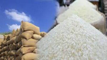চাল রপ্তানি নিয়ে সুখবর দিল ভারত