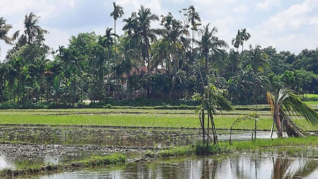 আলোচিত সেই উমানাথপুর গ্রাম