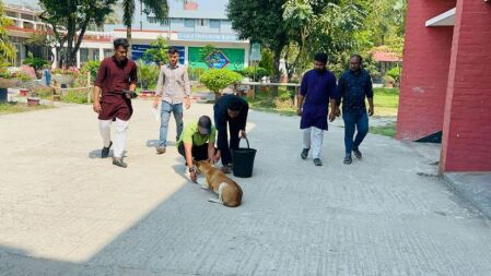 বন্ধ ক্যাম্পাসে প্রাণীদের জন্য খাবার ও চিকিৎসা সেবা দিচ্ছে বাকৃবি ছাত্রদল