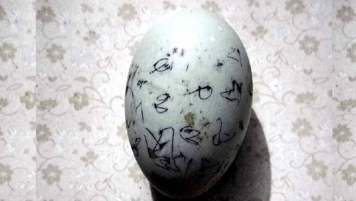 নিলামে বিক্রি হওয়া ২২ হাজার টাকার ডিম