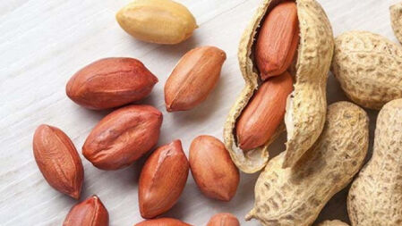 নিয়মিত বাদাম খাওয়ার ৫ উপকারিতা