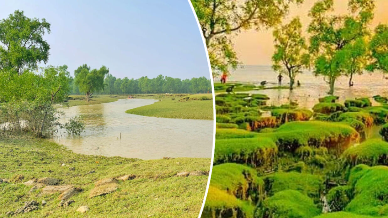 গুলিয়াখালী সমুদ্রসৈকত