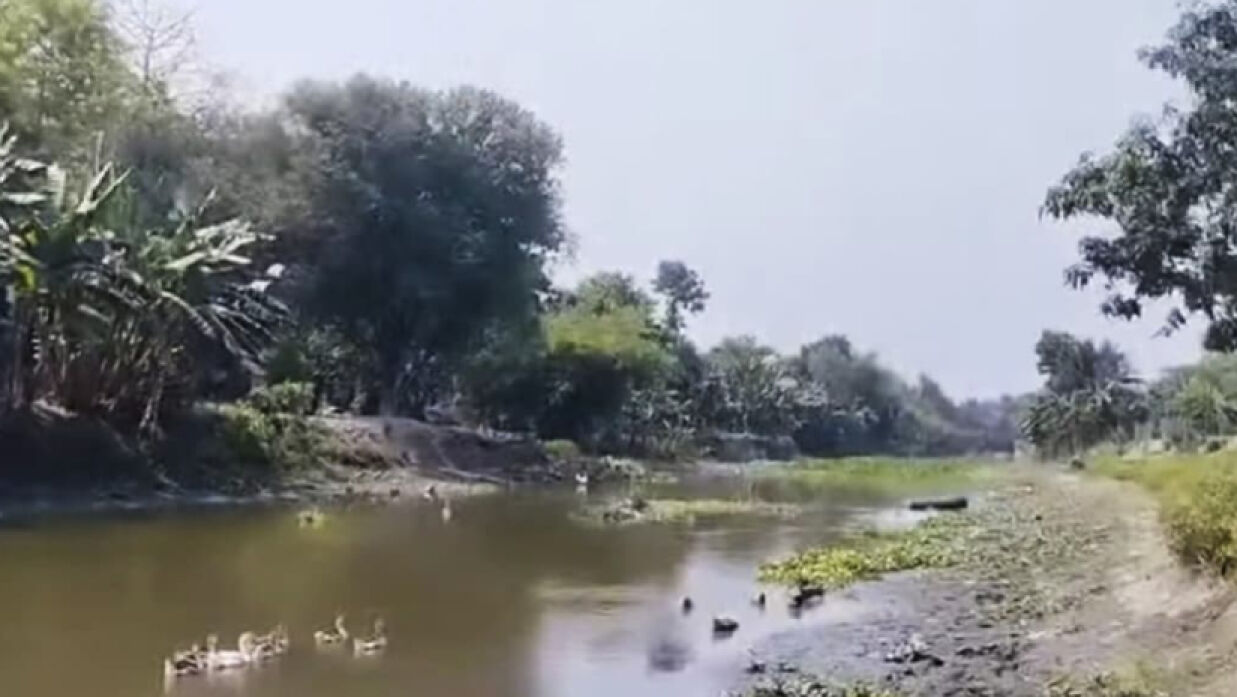 খালে মাছ ধরাকে কেন্দ্র করে ভাইয়ের হাতে ভাই খুন