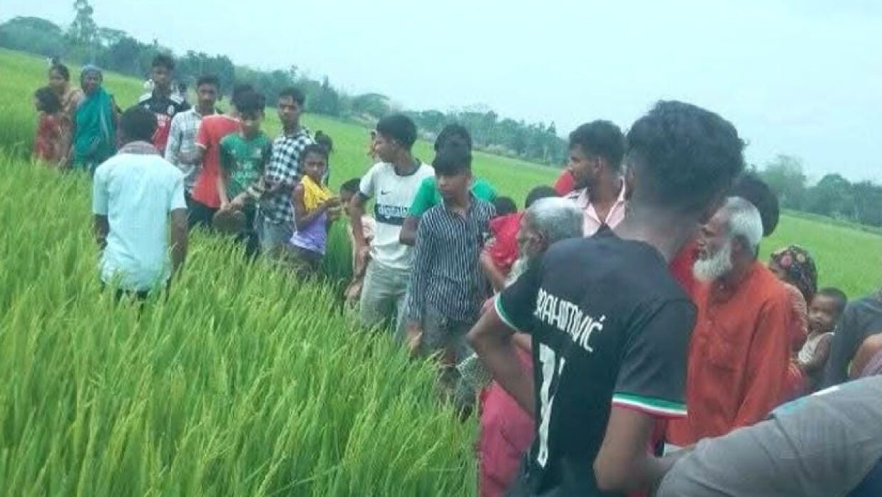 ধানক্ষেতে বৃদ্ধার লাশ দেখতে স্থানীয়দের ভিড়