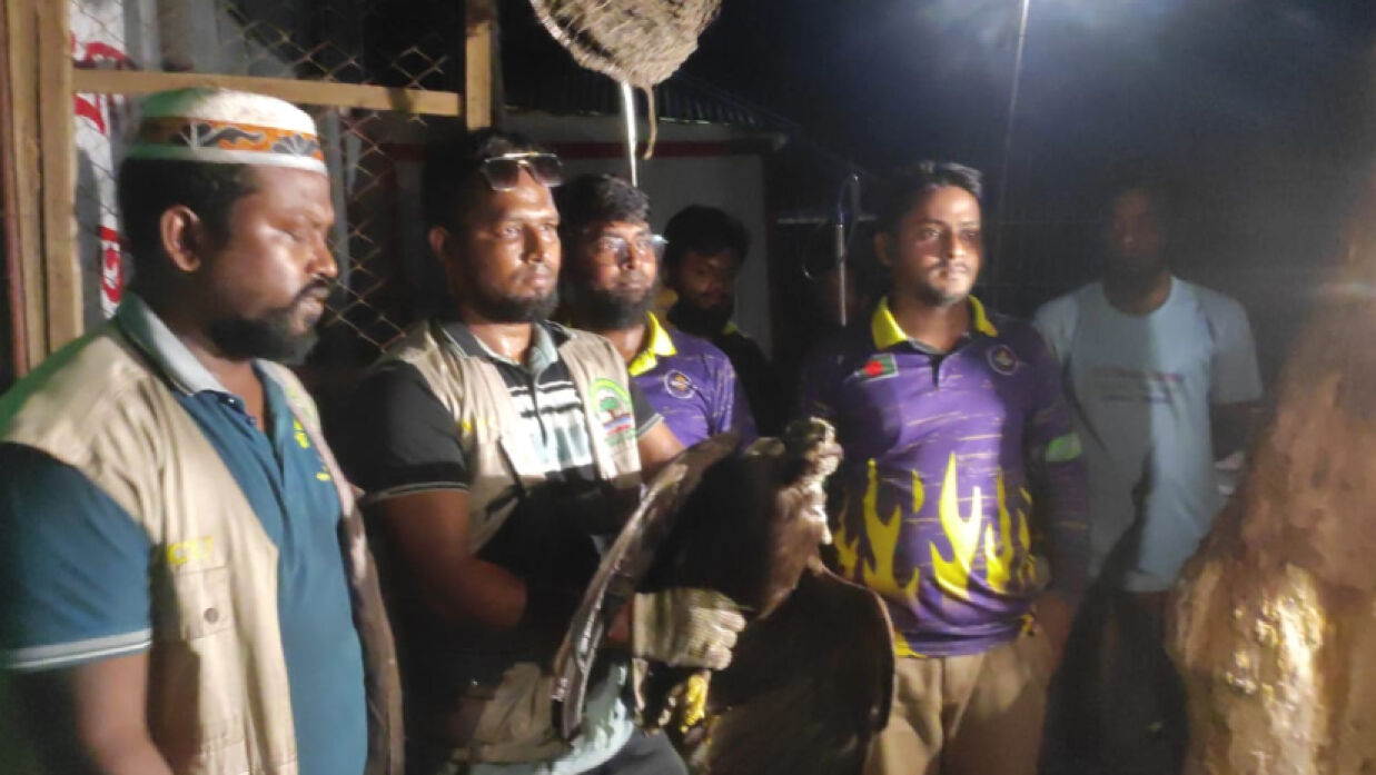 জব্দ করা প্রাণী
