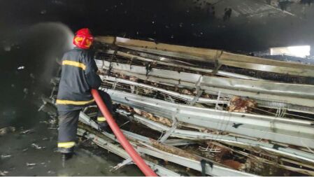 যশোরে অগ্নিকাণ্ডে পুড়ে ছাই ৪৫ হাজার মুরগি