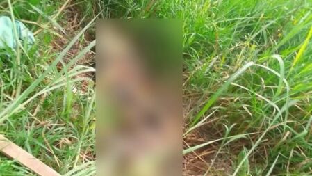 নোয়াখালীতে অজ্ঞাত নারীর কঙ্কাল উদ্ধার