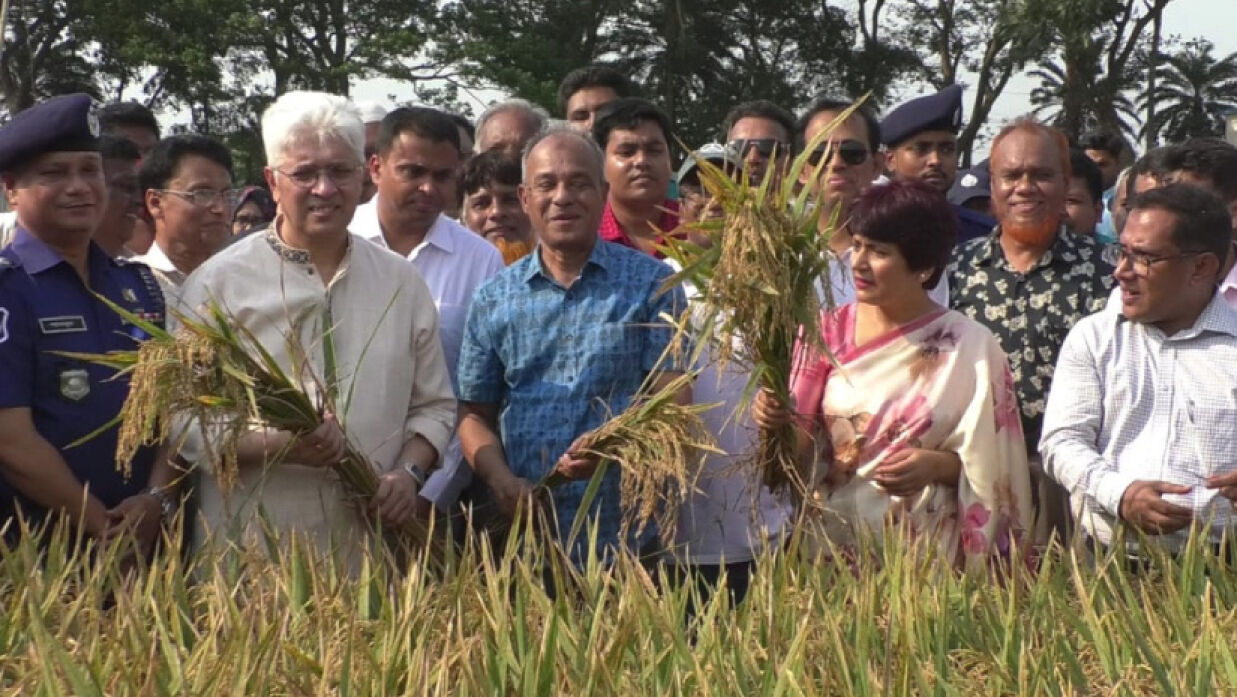 ধান কাটলেন দুই উপদেষ্টা